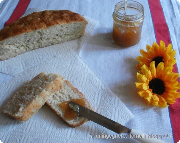 pan brioches senza impasto no-knead succo mela apple juice sweet bread ricotta cheese semi lino flex seed olio extravergine oliva oil extravirgin olive evo senza uova senza burro no eggs no butter without