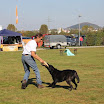 IMG_3030.JPG
