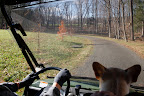 Martha pointed to this grove of metasequoia trees on the left and commented on how quickly they are growing.  See the new Kestrel bird box hanging on the tree to the right?