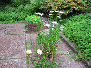 Click to see large image
