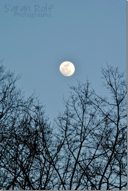 almost-full-moon