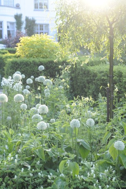 claus20110605_182434