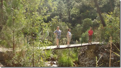 cazorla 032