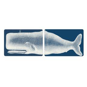 #BYUTP48 Scrimshaw Whale Trays
$45.00 set/2
