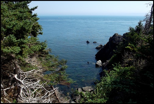 Liberty Point hike Campobello 228