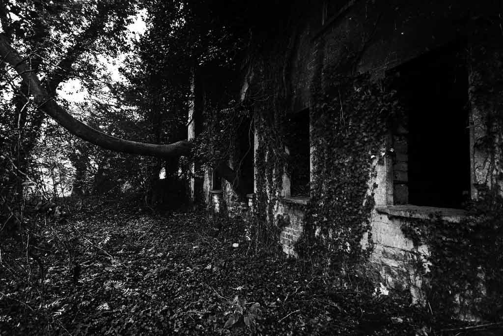 [Nettleham-Hall-23%255B3%255D.jpg]