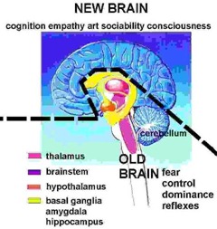 new brain new brain