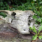 20100825_048_small.JPG