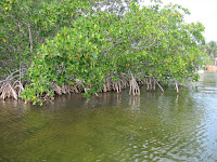 IMG_4289.jpg