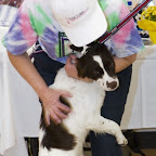 _MG_9529.jpg