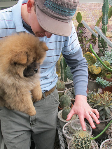 I must warn you about this barrel cactus, however.  You should never touch any plant that looks like this!