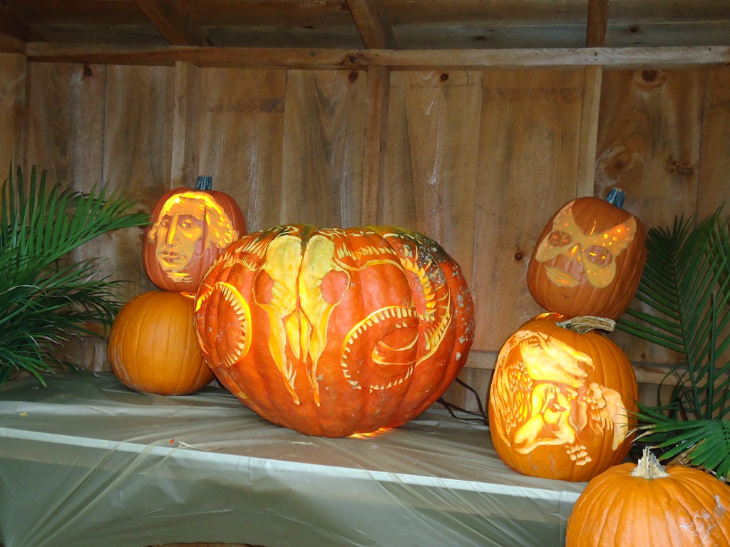 [DSC009743.jpg]
