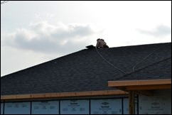 new roof 56 new roof 56