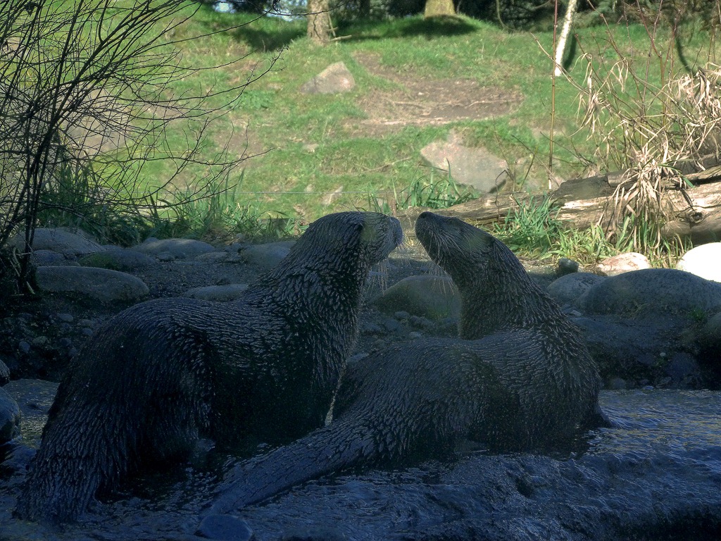 [Woodland%2520Park%2520Zoo%25206%255B4%255D.jpg]