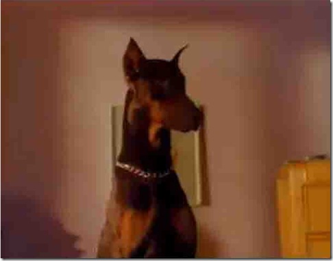 Snoop Doggy Dogg - Doggystyle - Who Am I 3