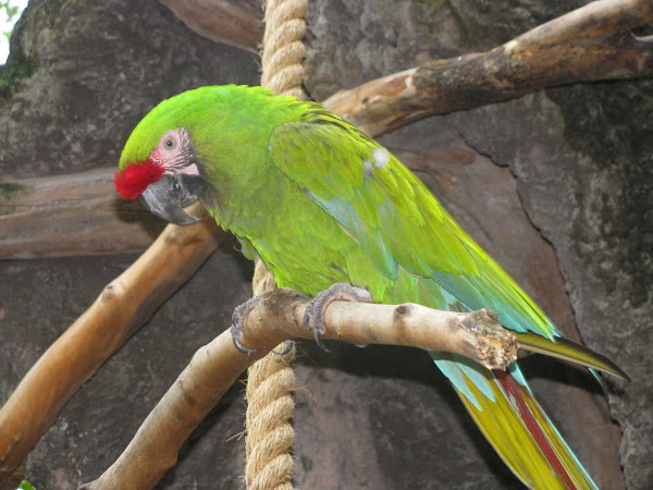 IMG_3777.jpg
