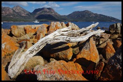 Close Up of the Rocks