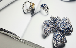 Imagen El Libro DIOR Joyería