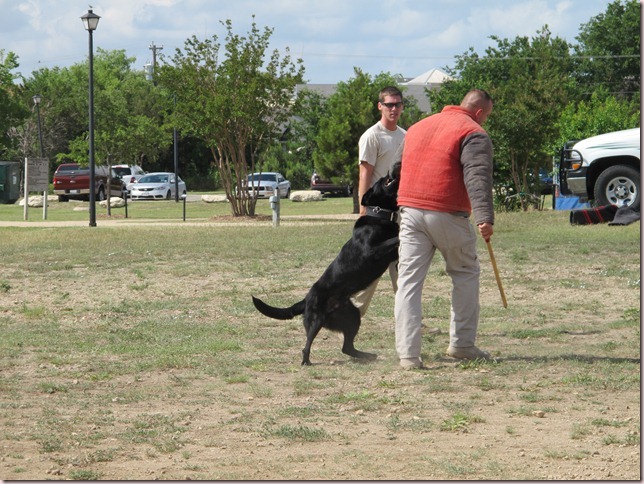 IMG_1325 IMG_1325