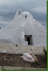 IMG_1446 IMG_1446