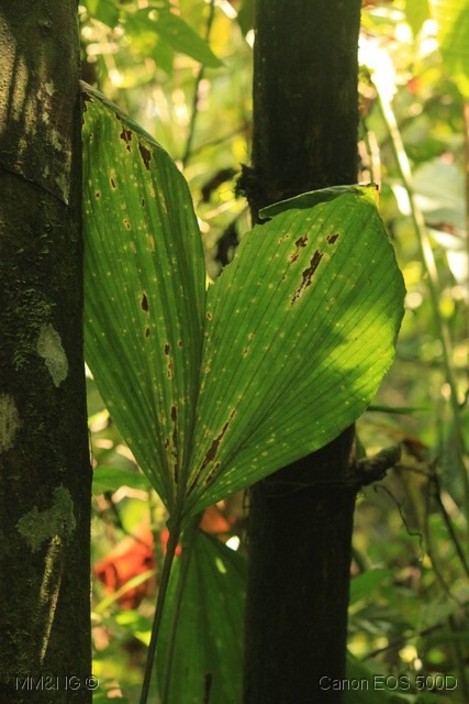 [IMG_2337%255B3%255D.jpg]