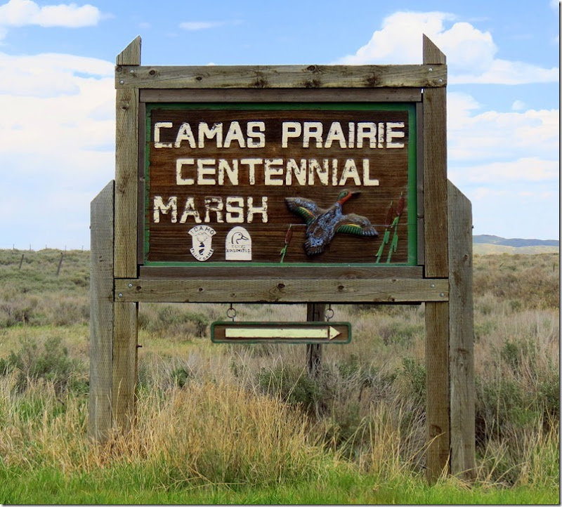 Camas Centennial Marsh Camas Centennial Marsh