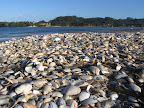 Sprachaufenthalt Whitianga