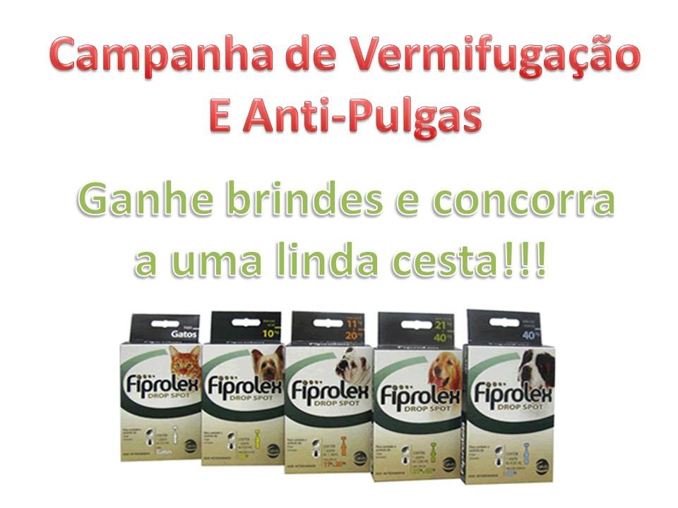 [Apresenta%25C3%25A7%25C3%25A3o1%255B3%255D.jpg]