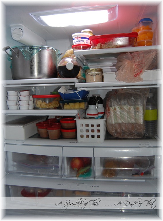 [refrigerator%2520%2520before%2520%257BA%2520Sprinkle%2520of%2520This%2520.%2520.%2520.%2520.%2520A%2520Dash%2520of%2520That%257D%255B4%255D.jpg]