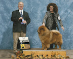 And being a champion isn't for everydog either.  However, it suits Karen, Jan, and me just fine!