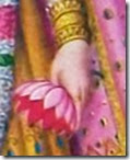 Sita Devi holding lotus flower