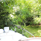 DSCN8397.JPG