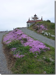 Trail to lighthouse