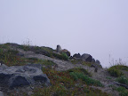 Marmot. This isn't the killer one.