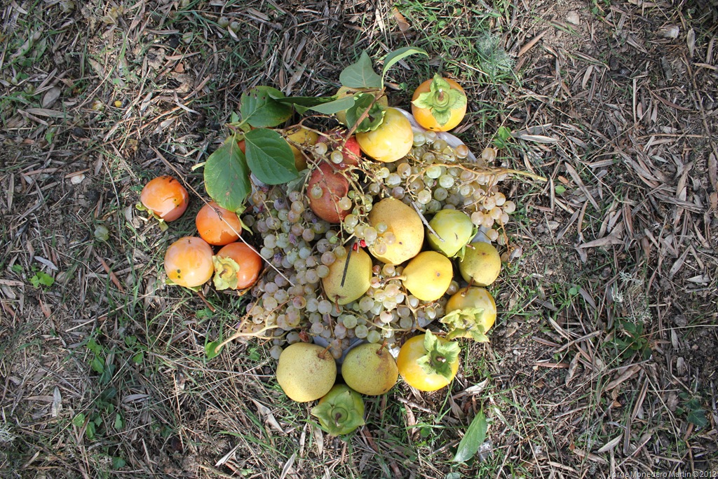[IMG_793510.jpg]
