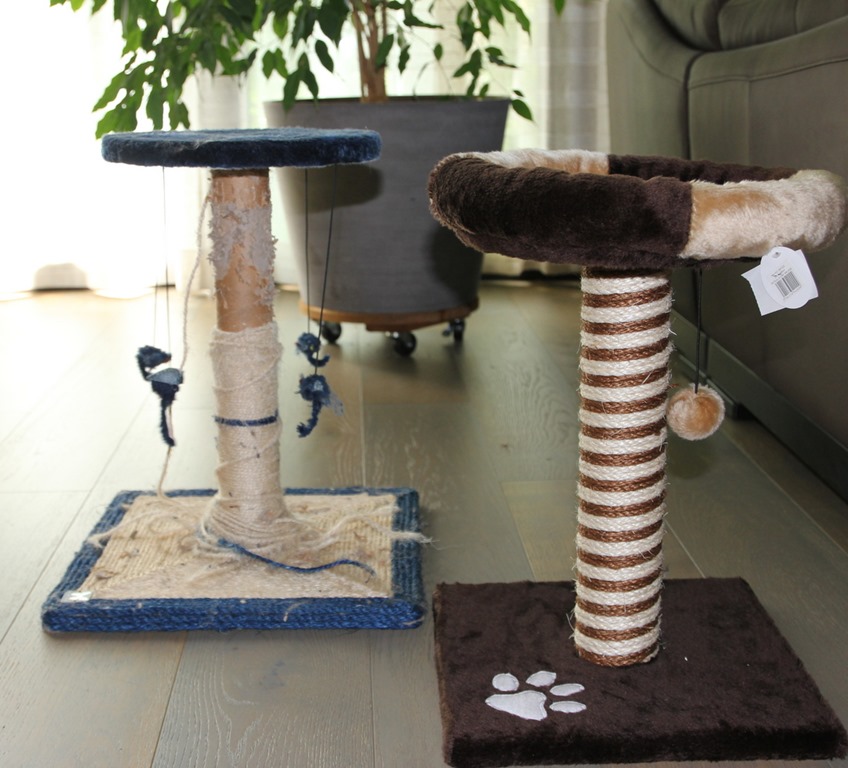 [IMG_6957%255B3%255D.jpg]