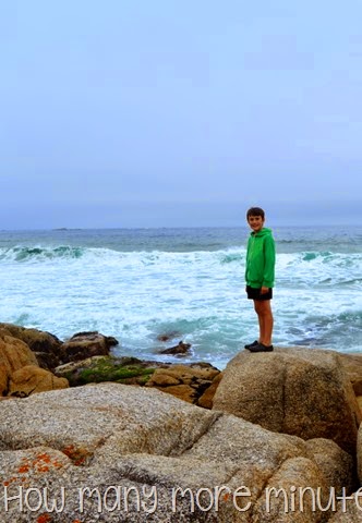 [DSC_27981.jpg]