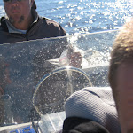 FishingOnCredit FishingOnCredit