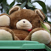 20110910_9457.JPG