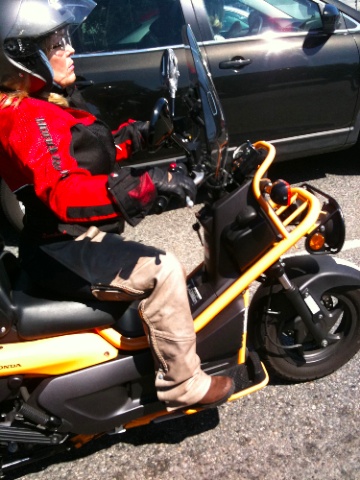 IMG_2121.jpg IMG 2121