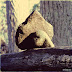 DSCN4393.JPG