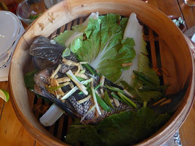 Striped Bass in Steamer Basket