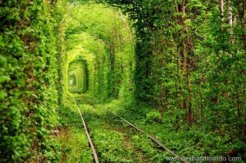 tunel do amor ucrania desbaratinando (7) tunel do amor ucrania desbaratinando (7)