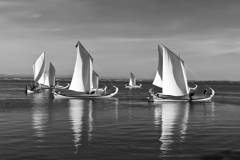 _DSC1646bw_01