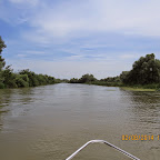 IMG_5228.JPG