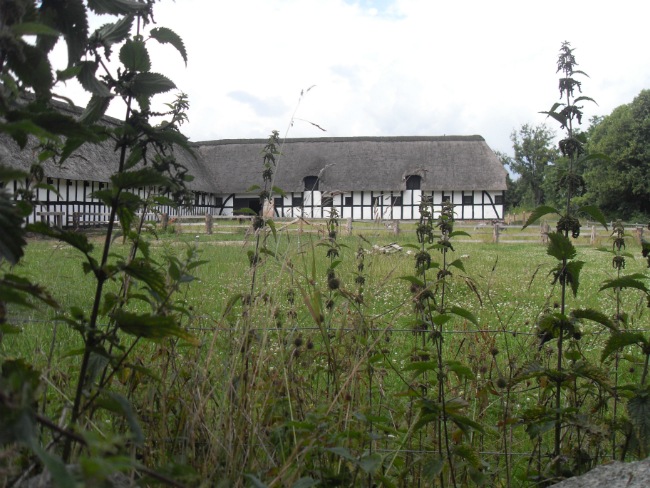 Frilandsmuseet, juli 2012