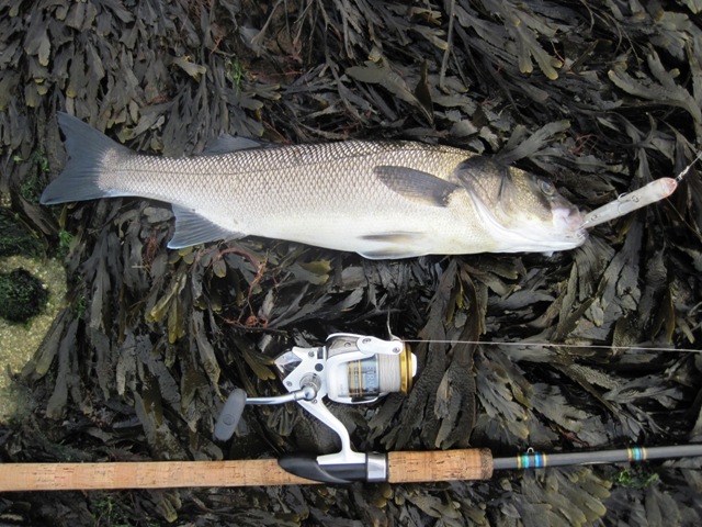 [IMG_0665%255B6%255D.jpg]