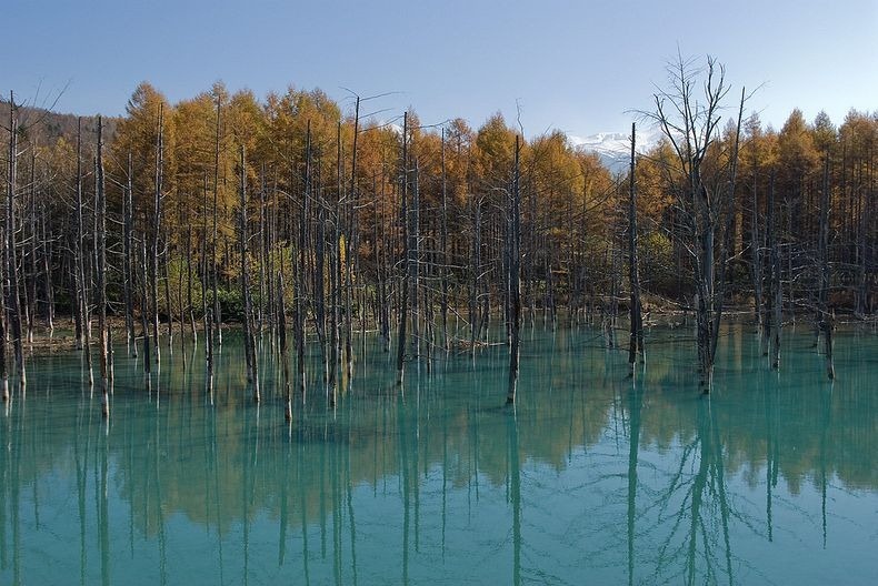 blue-pond-12 blue-pond-12