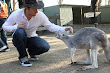 Afc Adam Lyons Pickup Artist In Zoo 5