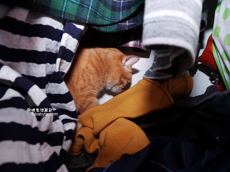 調整大小P1170929 調整大小P1170929